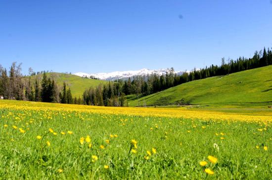 哈巴河那仁草原景點